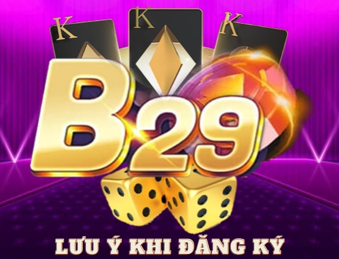 Lưu ý khi đăng ký B29