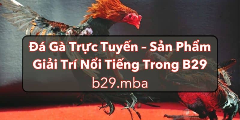 Đá gà trực tuyến b29