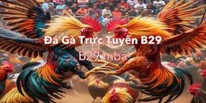 Trải nghiệm chân thực chưa từng có